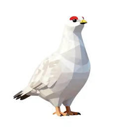 Ptarmigan