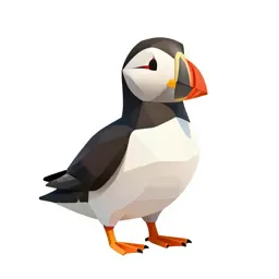 Puffin