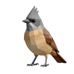 Pyrrhuloxia