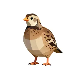 Quail