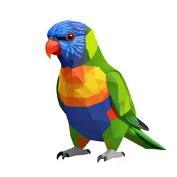 Rainbow lorikeet