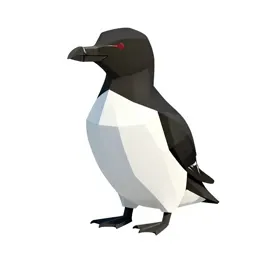Razorbill