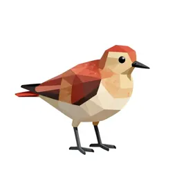 Red-backed sandpiper