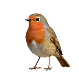Redstart