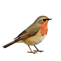 Redwing