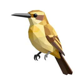 Riflebird