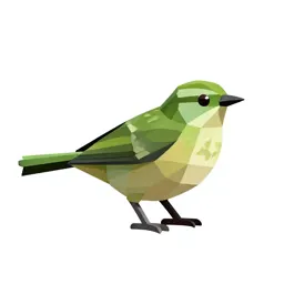Rifleman bird