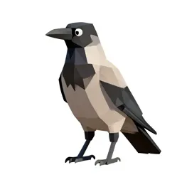 Rook