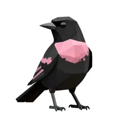Rose-colored starling