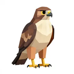 Rough-legged hawk