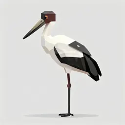 Saddlebill