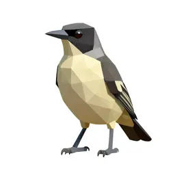 Satin bowerbird