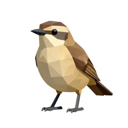 Scrubbird