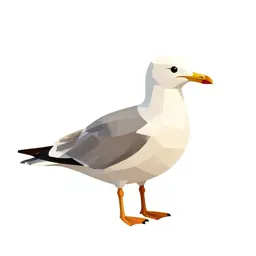 Seabird