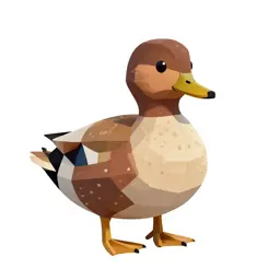 Shelduck