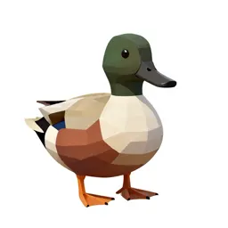 Shoveler