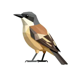 Shrike