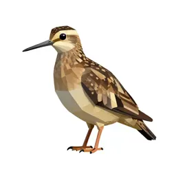 Snipe