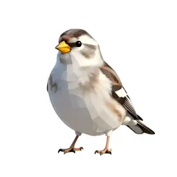 Snow bunting