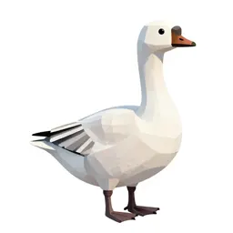 Snow goose