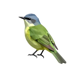 Solitary vireo