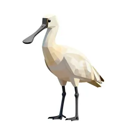 Spoonbill