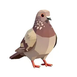 Squab