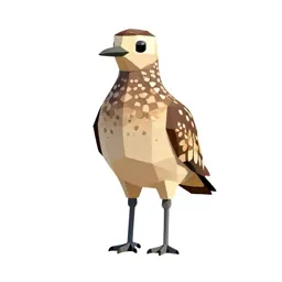 Stone curlew