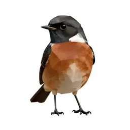 Stonechat