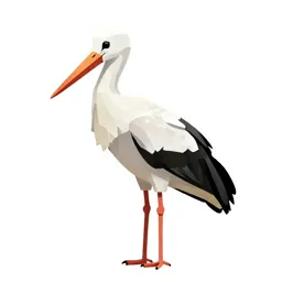 Stork