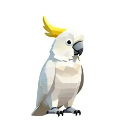 Sulphur-crested cockatoo