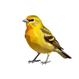 Summer tanager