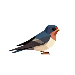 Swallow