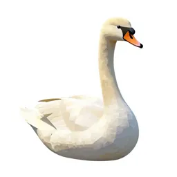 Swan