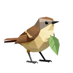 Tailorbird