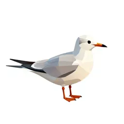 Tern