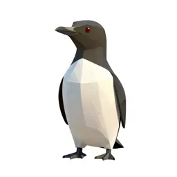 Thick-billed murre