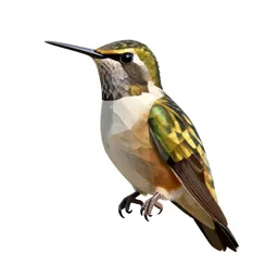Thornbill