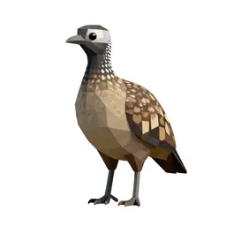 Tinamou
