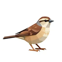 Towhee