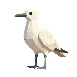 Tropic bird
