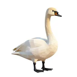 Tundra swan