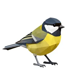 Verdin