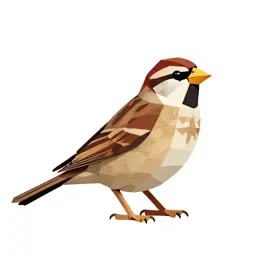 Vesper sparrow