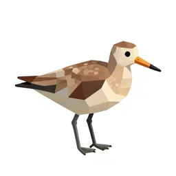 Wading bird