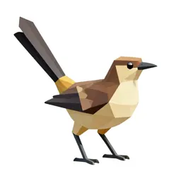 Wagtail