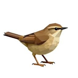 Water thrush