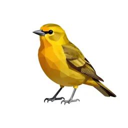 Western tanager