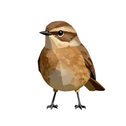Whinchat