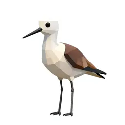 White-headed stilt